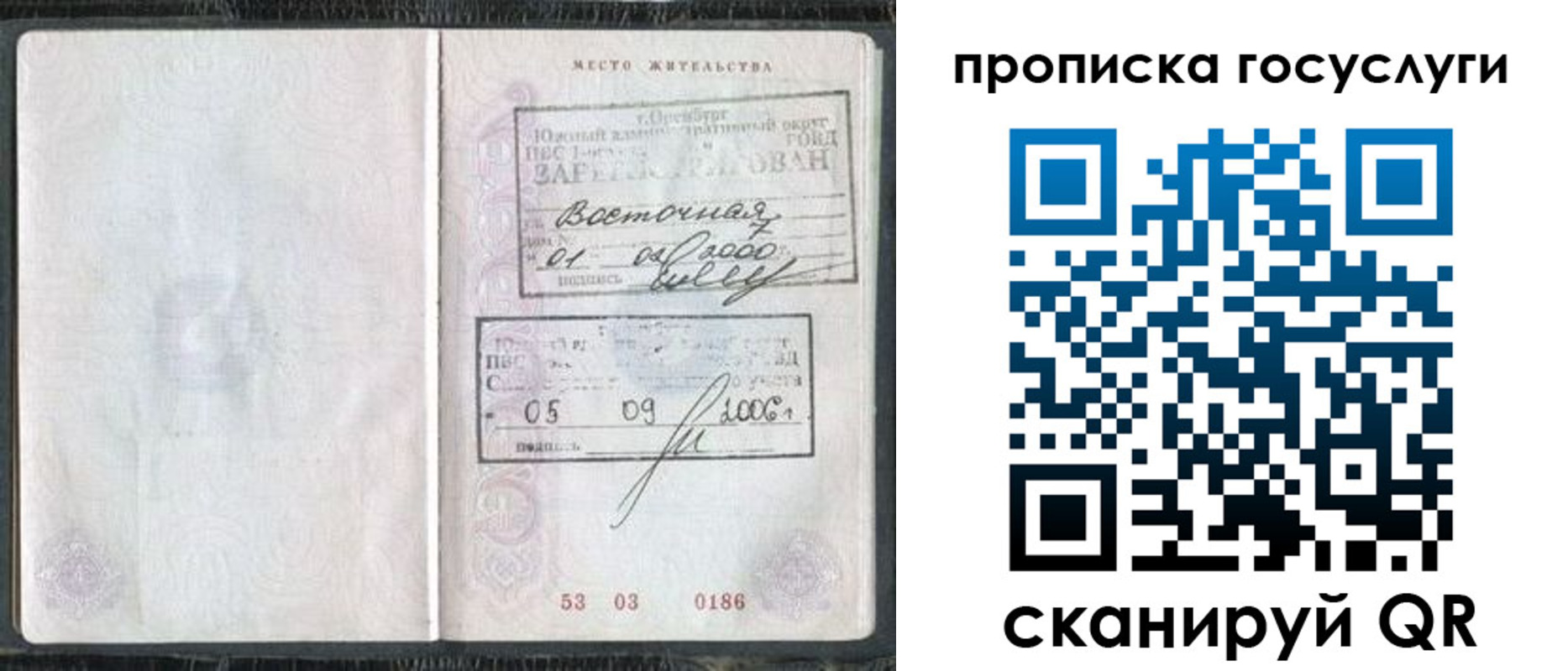 временная регистрация для школы в Заинске